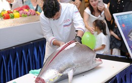 "Vua cá ngừ" 60kg vừa đáp chuyến bay từ Nhật Bản xuống Hà Nội: Giá khoảng 75 triệu đồng, đầu bếp dùng dao Nhật xẻ ngay trước thực khách