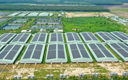 Baf Việt Nam thành lập công ty con chế biến thực phẩm tại Gia Lai