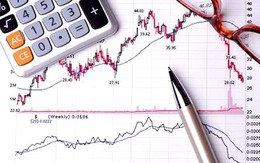 Bức tranh tối của kết quả kinh doanh quí 2