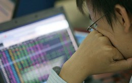 LAS, PVV, PVE, PV2 và BCC được chọn vào rổ HNX30 từ 1/11/2012