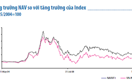 Vì sao Dragon Capital gom mua VFMVF1?