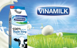 VNM-mẹ: Doanh thu 2012 đạt 1,3 tỷ đô, LNST gần 5.800 tỷ đồng, tăng 40% năm 2011