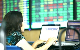 SBS giảm sàn sau tin hủy niêm yết, VN-Index tăng 6 điểm