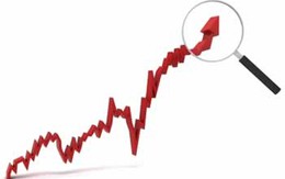 Hào hứng với tin giảm lãi suất, Vn-Index tăng hơn 3 điểm lên 493 điểm