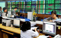 PVS, DPM thỏa thuận 2 triệu cổ phiếu giá sàn, VN-Index đảo chiều trong 15 phút cuối