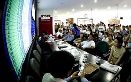 VIC tăng trần, giá trị giao dịch hai sàn gần 2.500 tỷ đồng