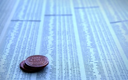 HAG, VIC giao dịch mạnh, VN-Index tăng 2 điểm lên 496 điểm
