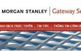 CK Morgan Stanley Hướng Việt: Gửi ngân hàng hơn 350 tỷ đồng, chiếm 98% tổng tài sản