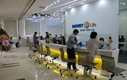 BVH: 6 tháng lãi ròng 462 tỷ đồng