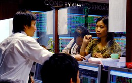 ĐHCĐ VITS thông qua hợp nhất với MBS: Hai bên chưa ký hợp đồng chính thức