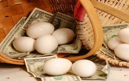 Lùi thời gian trình nghị định về TTCK phái sinh sang năm 2014