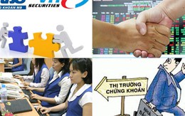 Đại phẫu CTCK 2013: Đổi vận hay lặng lẽ 'chết'