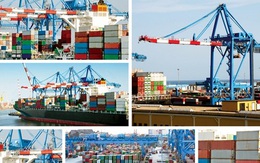 Cổ phiếu vận tải biển: Coi chừng "án" kiểm soát!