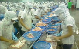 Thêm thuế suất nhập khẩu, tăng áp lực nguyên liệu lên Doanh nghiệp thủy sản