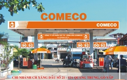 Comeco và Sonadezi Long Thành: Lợi nhuận năm 2013 vượt kế hoạch