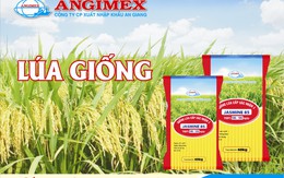 Angimex: Lên kế hoạch tăng LNST thêm 77% so với năm 2013