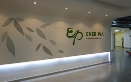 Everpia Việt Nam: LNST quý I/2014 của công ty mẹ giảm 87% so với cùng kỳ