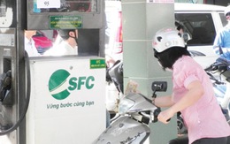 SFC: 6 tháng đạt 22,3 tỷ LNTT - vượt kế hoạch năm