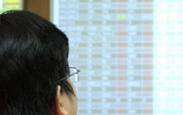 Vn-Index tiến sát mốc 500 điểm