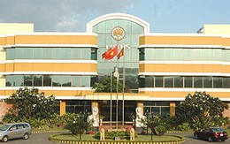 Lợi nhuận 6 tháng của Hoa Sen Group đạt 93% kế hoạch năm 2008