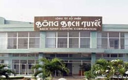 BBT: Ngưng đình công, hoàn thành báo cáo tài chính trước 25/7