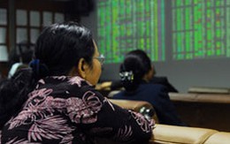 Vn-Index đã vượt mốc 310 điểm