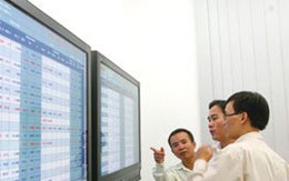 VNM và HPG hãm đà suy giảm của thị trường