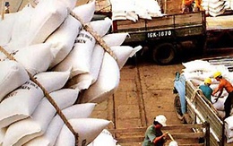 Nhiều công ty có thể sẽ có kết quả kinh doanh năm 2009 bi đát