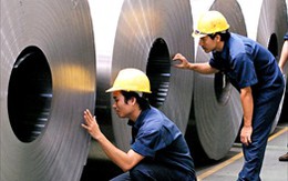 HSG: Ước lợi nhuận sau thuế niên độ tài chính 2008 -2009 đạt 195 tỷ đồng