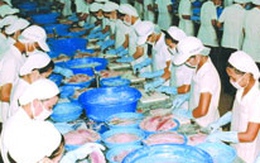 Xuất khẩu và kết quả kinh doanh của cổ phiếu ngành thủy sản