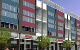 BCC Co: Chào bán hơn 10 triệu cổ phiếu, trả cổ tức 20%