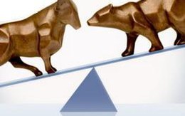 VN-Index vượt ngưỡng 500 điểm khi TTCK toàn Châu Á phủ một màu xanh