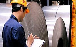HSG: Ước lợi nhuận sau thuế tháng 11 đạt 50 tỉ đồng