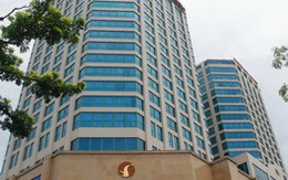 CTCP Tập đoàn đầu tư Việt Nam đã nhận gần 10 triệu cổ phiếu VIC và 10 triệu cổ phiếu VPL