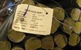 HPG: Nhà máy Cán thép Hưng Yên vượt 34.4% kế hoạch sản lượng thép 2009
