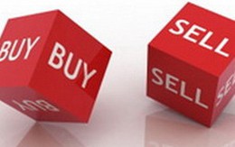 "Nội" lưỡng lự, "ngoại" đẩy mạnh mua bluechips, VN-Index vượt ngưỡng 490 điểm