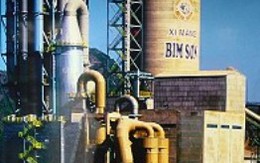 BCC, ECI: Kết quả kinh doanh quý IV/2009