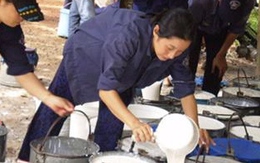 HRC: Năm 2010 sẽ thoái vốn đầu tư vào GTA, DPR để tập trung sản xuất
