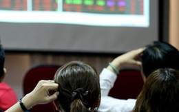 Kết quả kinh doanh quý II : Ngành nào khả quan ?