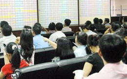 “Kết quả kinh doanh 2 quý: Không tác động lớn tới thị trường!”