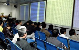 Cổ phiếu mía đường tăng trần đồng loạt, VN-Index cầm cự tại mốc 505 điểm