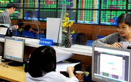 Vn-Index để tuột mốc 460 điểm, giá trị giao dịch tại HoSE xuống dưới 600 tỷ đồng