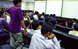 VN-Index tăng điểm không phản ánh thực chất toàn bộ thị trường
