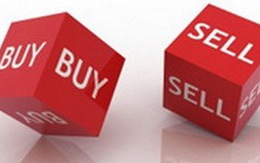 Cổ phiếu tài chính - ngân hàng tăng trần đẩy VN-Index lên trên 520 điểm