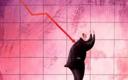 Các cổ phiếu tác động nhiều nhất tới Vn-Index ngày 11/2