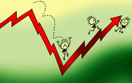 Cổ phiếu chứng khoán "khởi nghĩa", VN-Index đột ngột vượt mốc 480 điểm