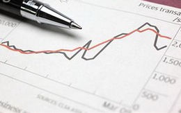 215 mã tăng trần trên hai sàn, Vn-Index tiến sát mốc 500 điểm