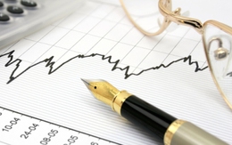 9h30: BVH giảm sàn kéo Vn-Index xuống sát 460 điểm