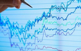 Vn-Index tăng điểm chủ yếu nhờ MSN 