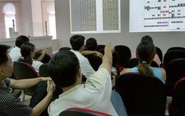 MSN tăng trần, VN-Index tăng nhẹ lên 462 điểm